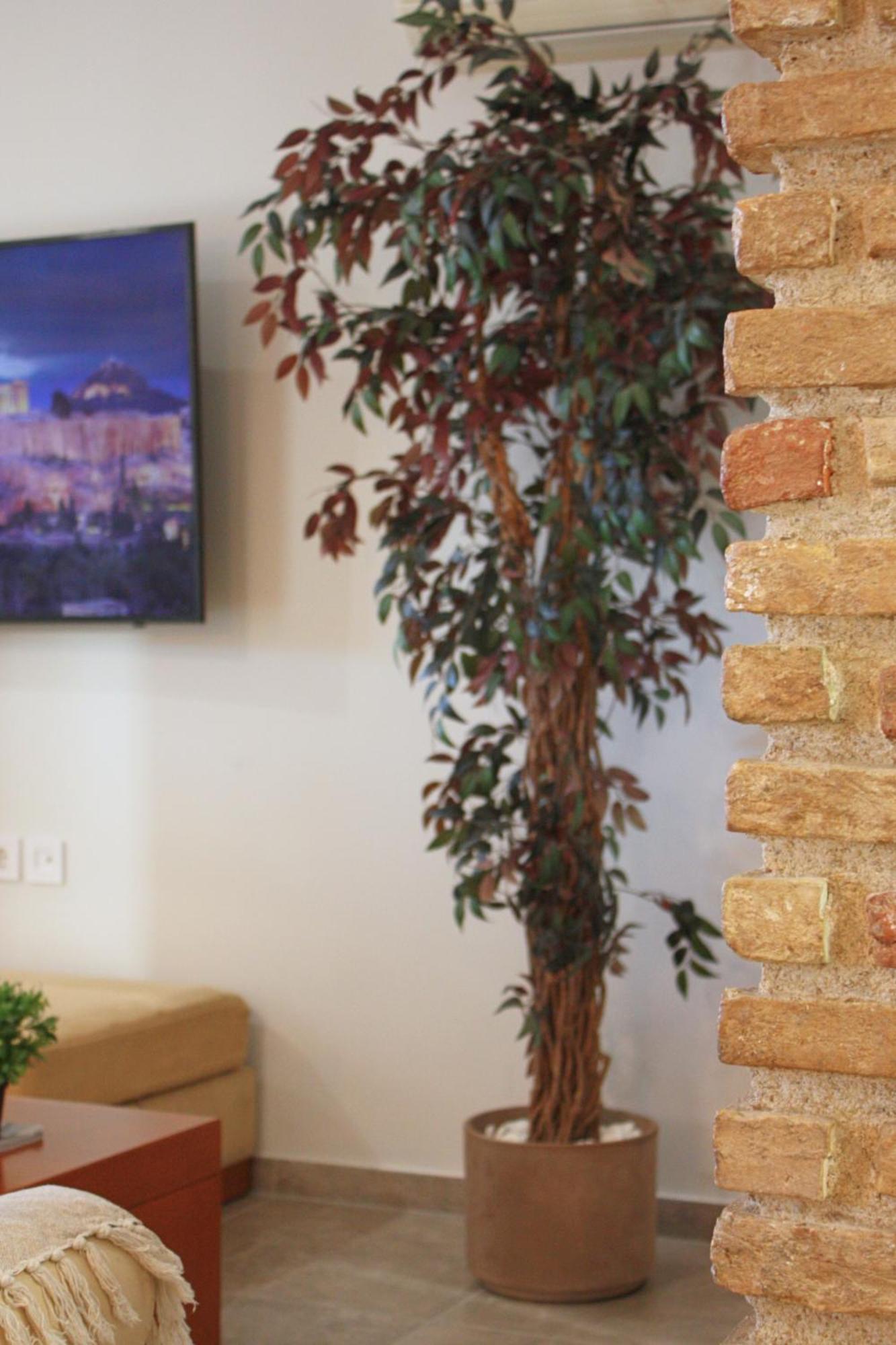 Camara Suite İstanköy Dış mekan fotoğraf